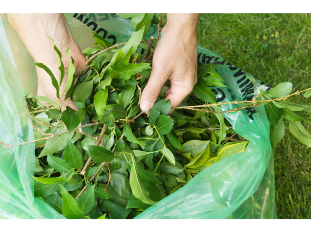 Skip Hire for Garden Refuse